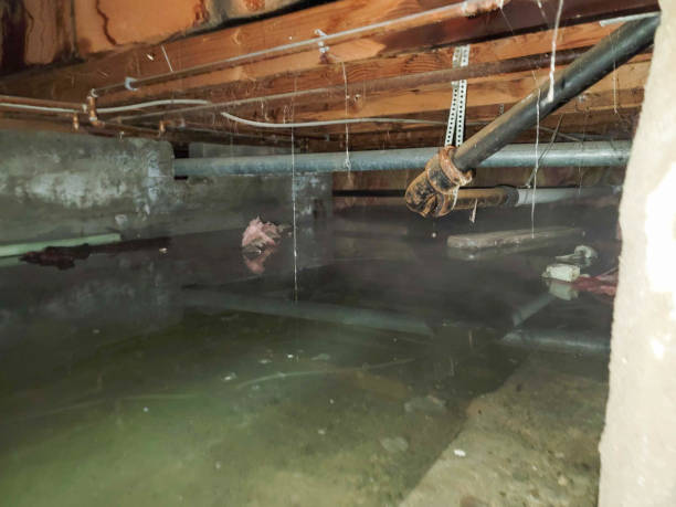 Best Emergency water damage restoration  in Citrus Hills, FL