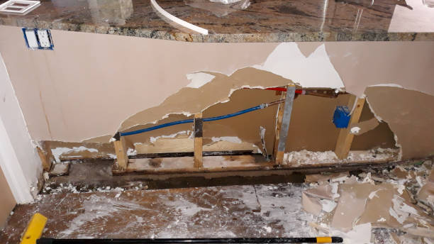 Best Water damage cleanup near me  in Citrus Hills, FL