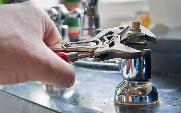 Best Flood restoration services  in Citrus Hills, FL