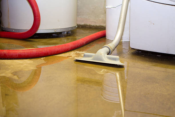 Best Commercial water damage restoration  in Citrus Hills, FL