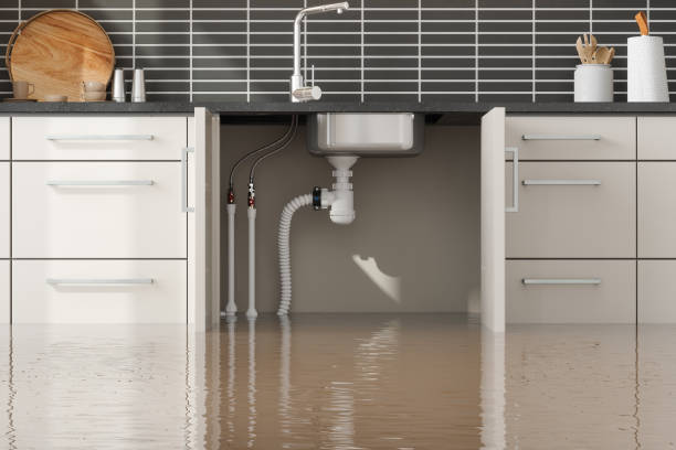 Best Water damage restoration specialists  in Citrus Hills, FL