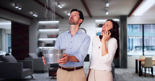Best Water damage restoration near me  in Citrus Hills, FL